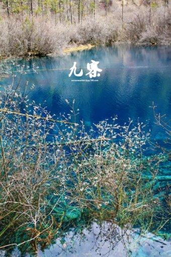 《反腐警示录》江西纪委监委披露  “一把手”违纪违法案